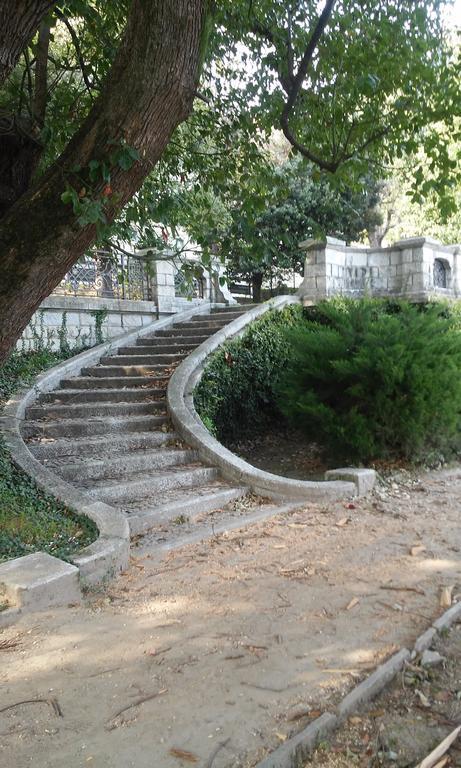 Residenza Del Pascia - Appartamento Camphora Оджеббіо Номер фото